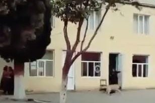 Goranboyda xadiməni it dişlədi 